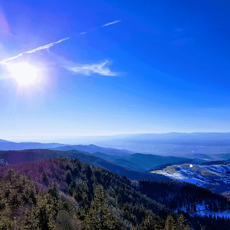 Schauinsland Black Forest