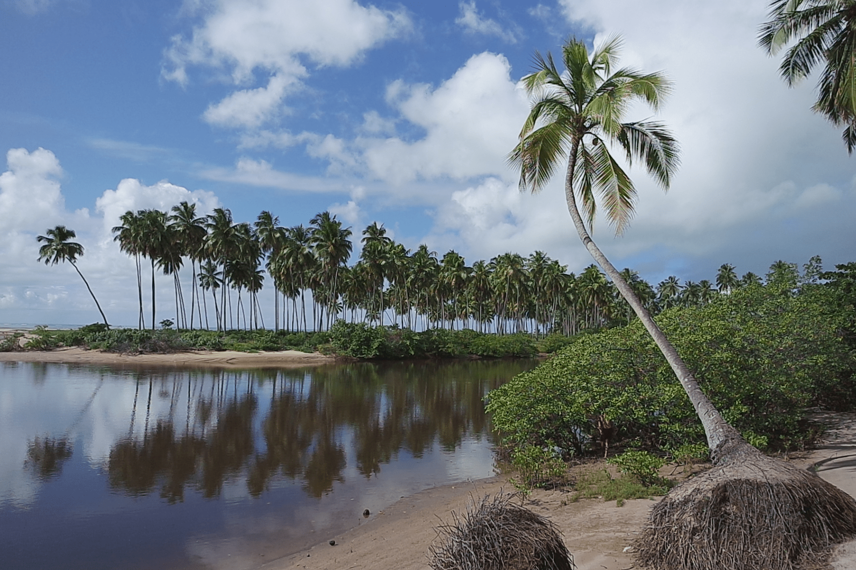 Maragogi Karibik von Brasilien