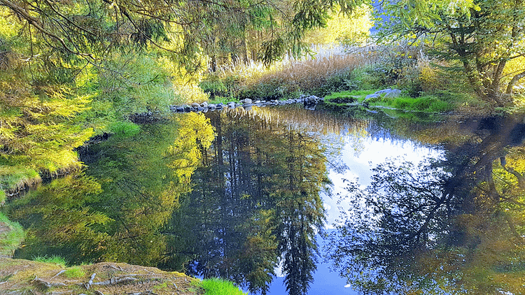 Erfrischende Gewohnheiten im Südschwarzwald gefällig ?