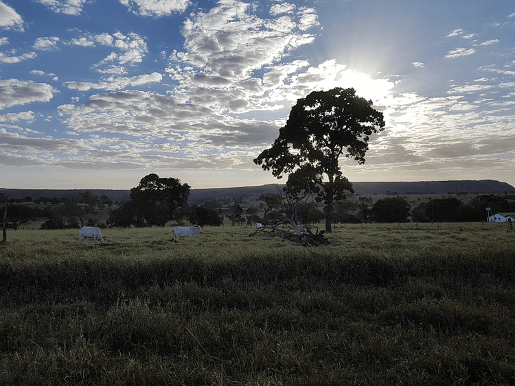 Minas Gerais Brasilien