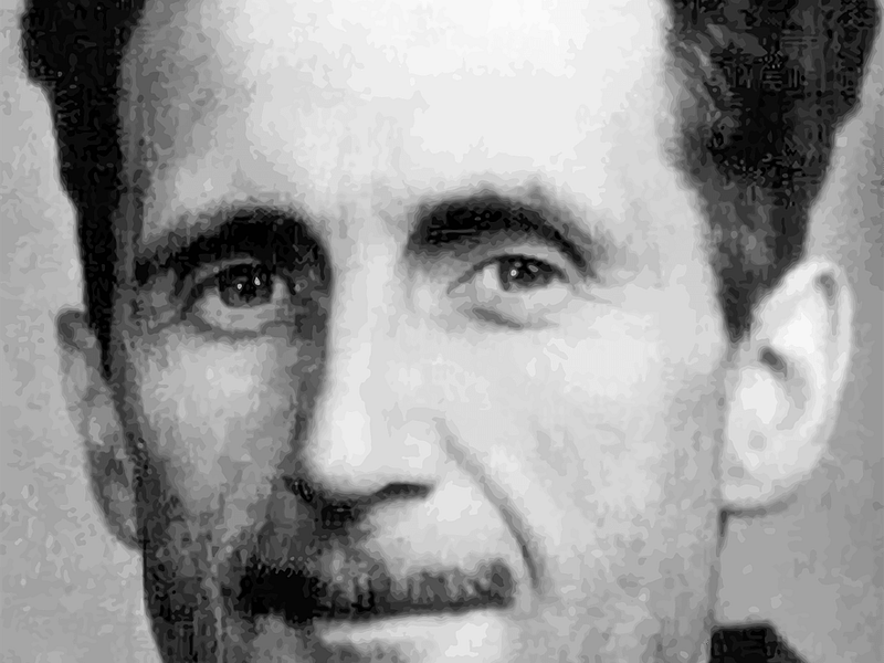 George Orwell Biografie-Inspirierende Autoren welche viel gelesen haben (32)
