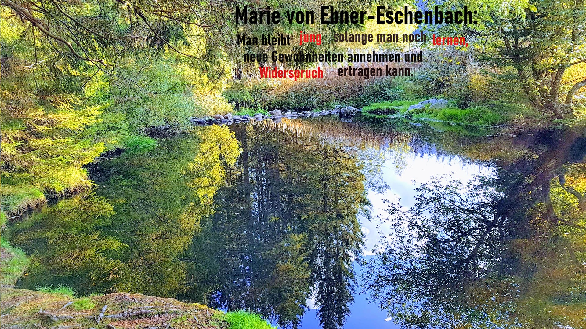 Erfrischende Gewohnheiten(05)